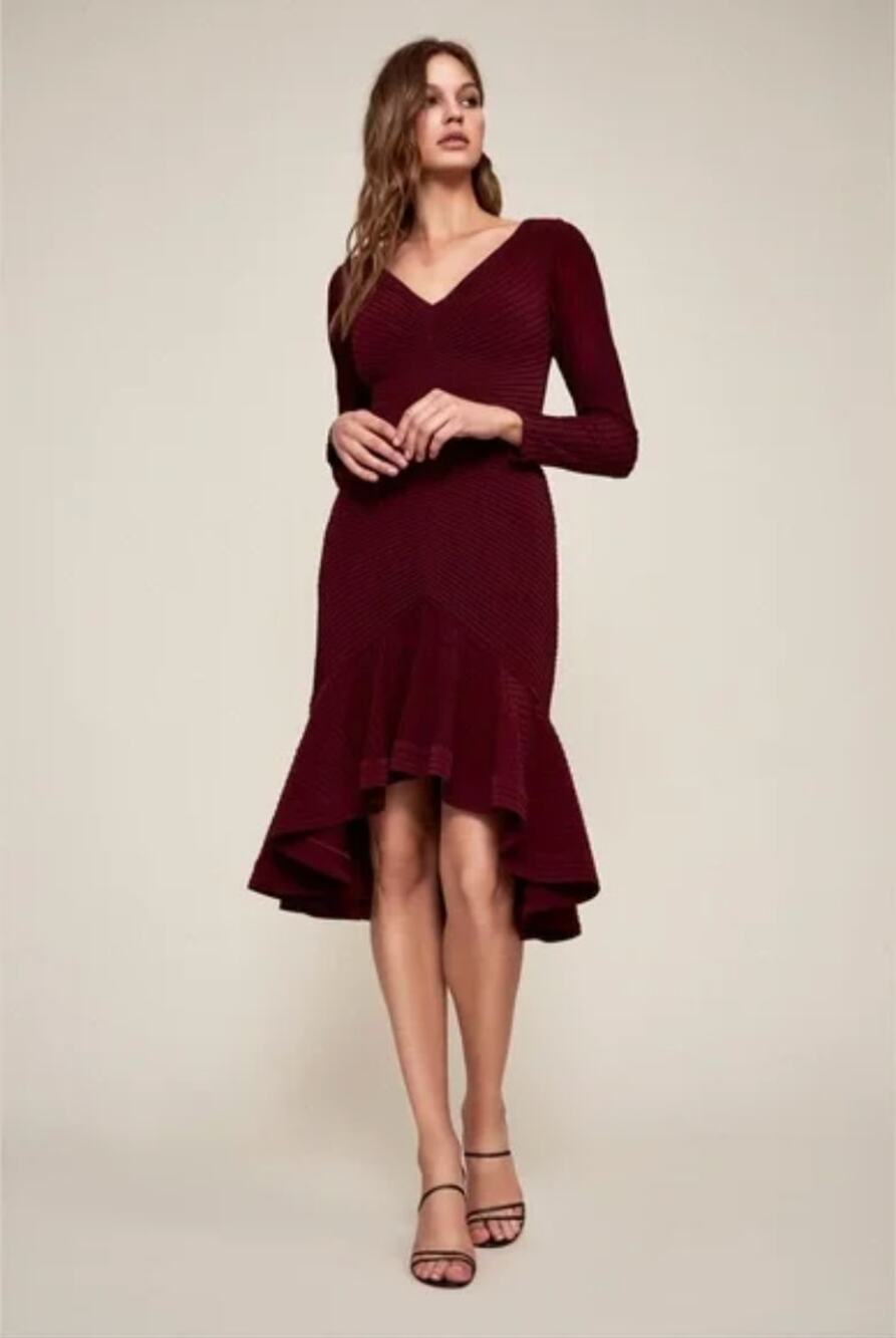 Tadashi Shoji Elias Long-Sleeve Pintuck Dress Size XS